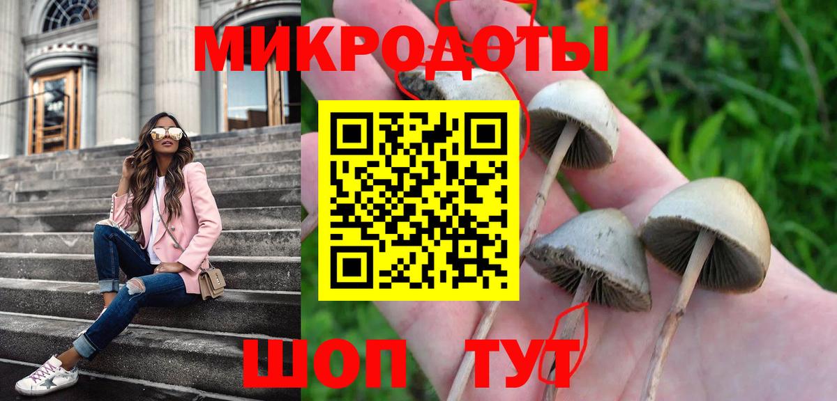 купить наркоту  Вход с VPN  Галлюциногенные грибы мицелий  Светлоград  Галлюциногенные грибы Psilocybe 
